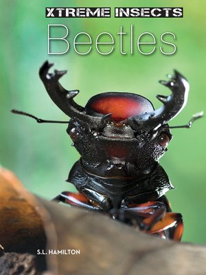 cover image of Beetles
